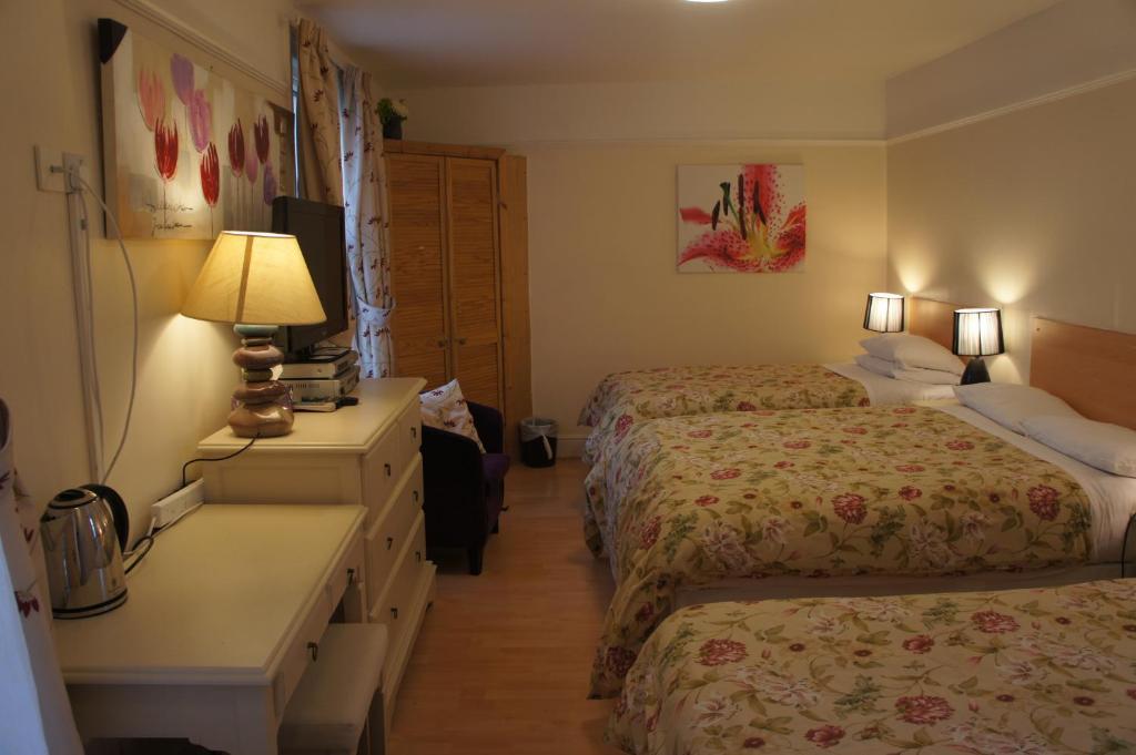 Amazon Guest House Oxford Rum bild
